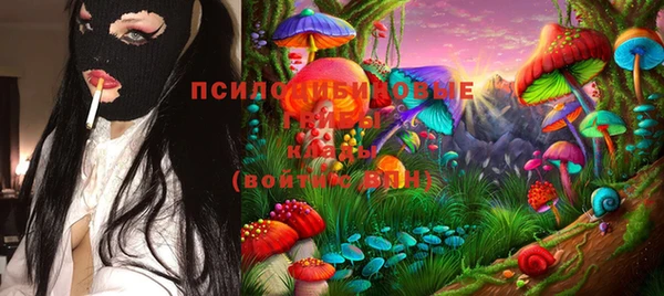 крисы Верхнеуральск