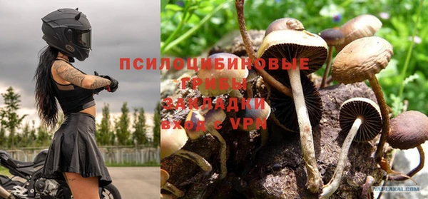 ALPHA PVP Верея
