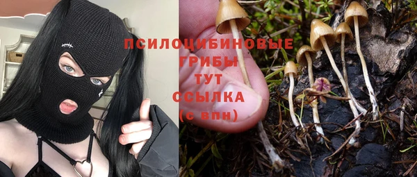крисы Верхнеуральск